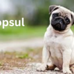 mopsul