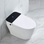 Smart Toilets