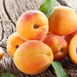Apricot Seeds